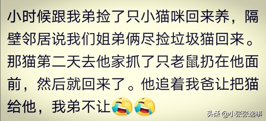 狗狗太肥了怎么才能给它减肥呢,爷爷说狗狗太胖了要减肥