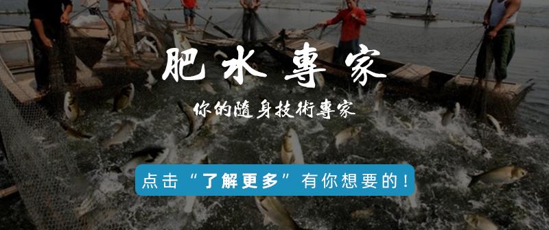 池塘水浑能肥水吗,池塘水浑下肥有效吗