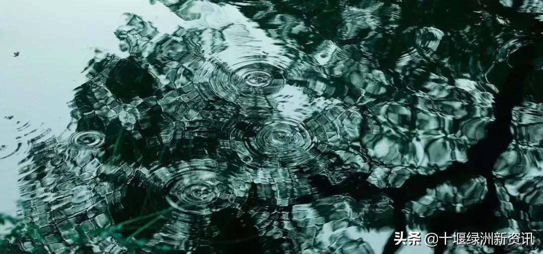 品质之城幸福之区,品质之城有哪些