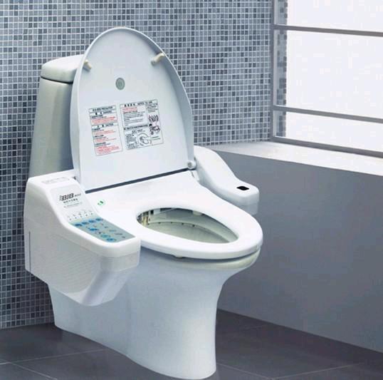 马桶蹲便器选什么品牌的,蹲便器马桶哪种好