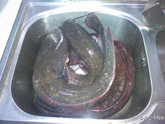 潘塘石窝钓鱼,路亚鱼塘钓石斑用什么假饵