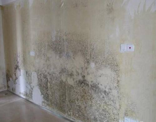 家里开关暗盒坏了怎么修？教你一招轻松搞定，根本不用砸墙换新