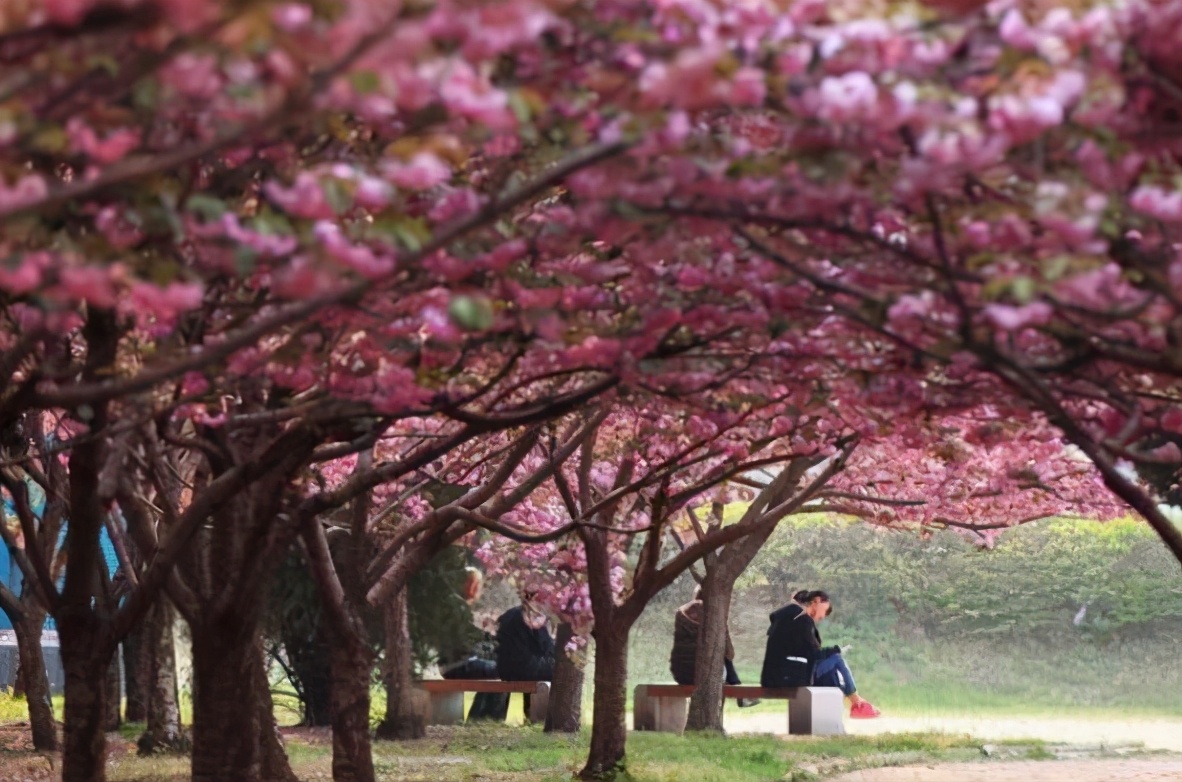 郑州大学冬季风景,郑州大学风景园林好不好