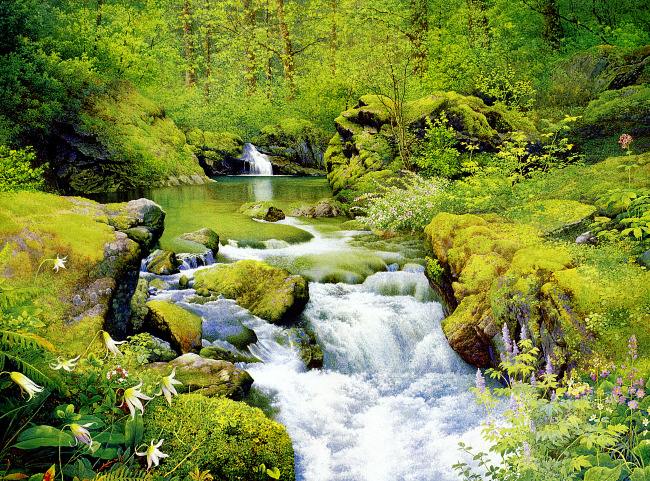 形容绝妙舞姿的古诗词,古诗词的绝妙用字