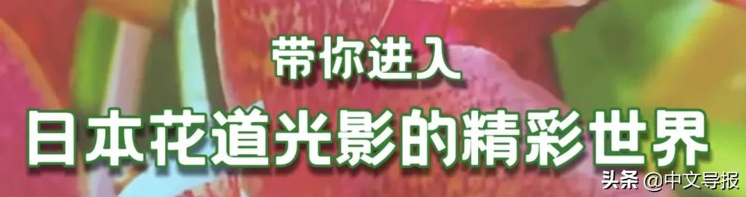 唱日语歌教学,唱日语歌需要学到什么程度