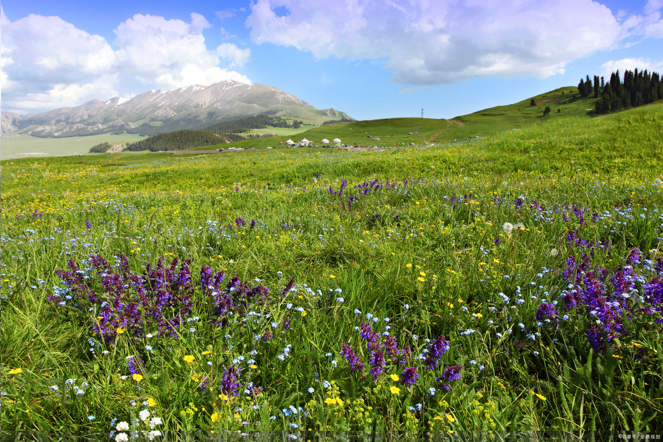 新疆伊犁果子沟风景素材,新疆伊犁果子沟美景