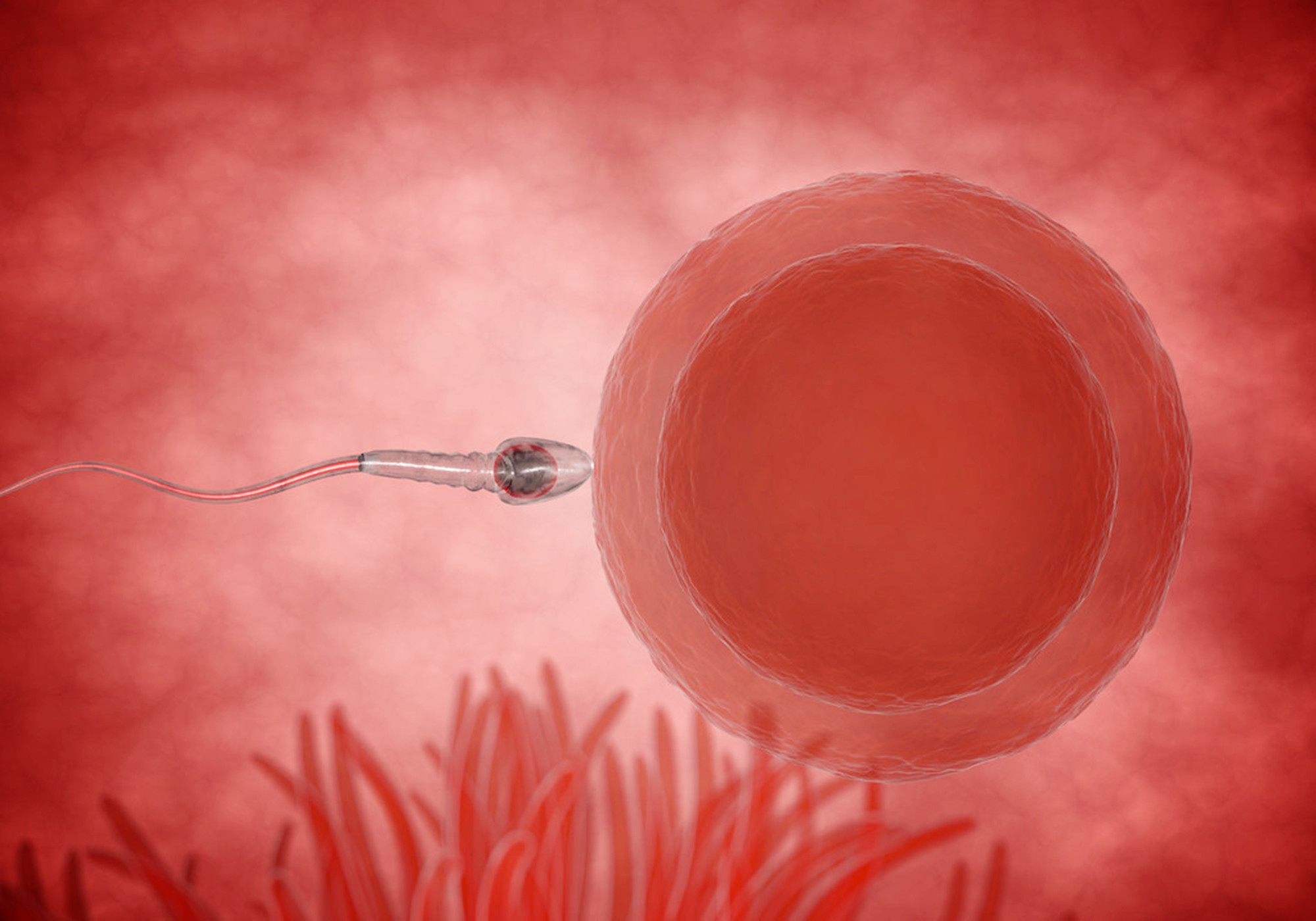 b超单怎么看孕囊在子宫位置,b超单如何看胎儿孕周