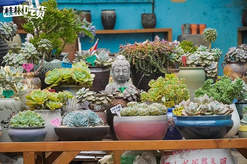 桂林市春节年货一条街,桂林有哪些年货市场