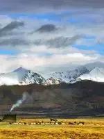 中国各地特产一览表,四川成都特产送人一览表