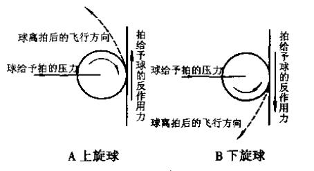 乒乓球的八种旋转方法,乒乓球正旋转和逆旋转怎么接