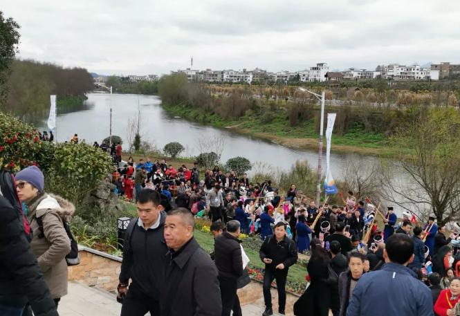 惠水第29届兰博会兰花获奖图片,惠水国际兰花展