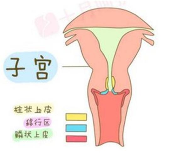 排卵期同房最易怀孕？如果这些地方出了问题，你同样难以受孕！
