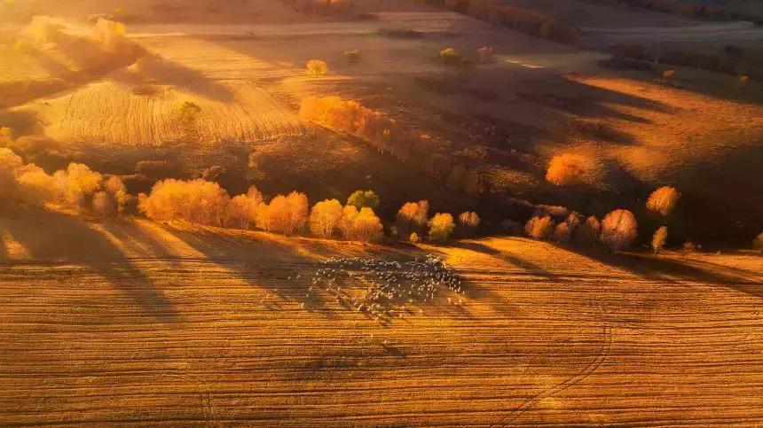 北京风景游玩区,北京郊区最美景点旅游攻略