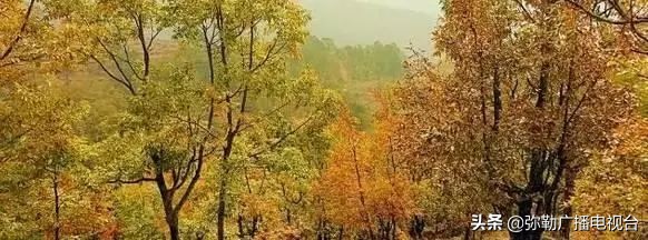 弥勒到重庆的高铁多少钱,云南省弥勒市通高铁