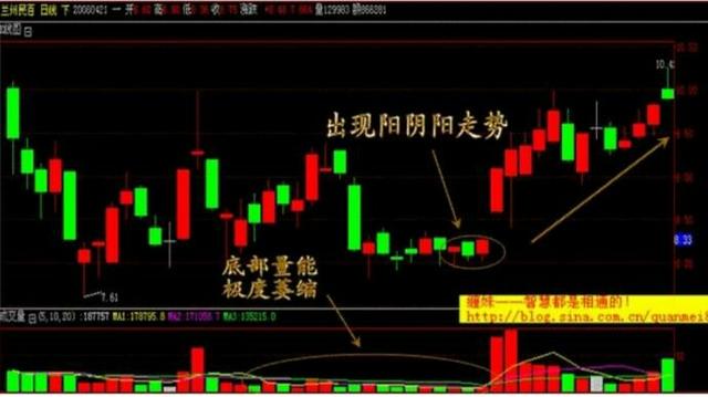 自己炒股票还是买基金,是炒股还是炒期货赚钱