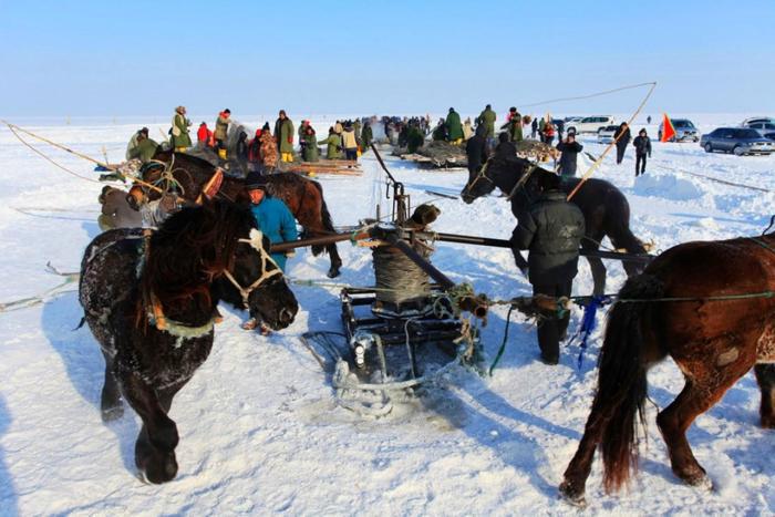 查干湖冬捕长达40天，胖头鱼堆积成山，千万游客在现场参观买鱼