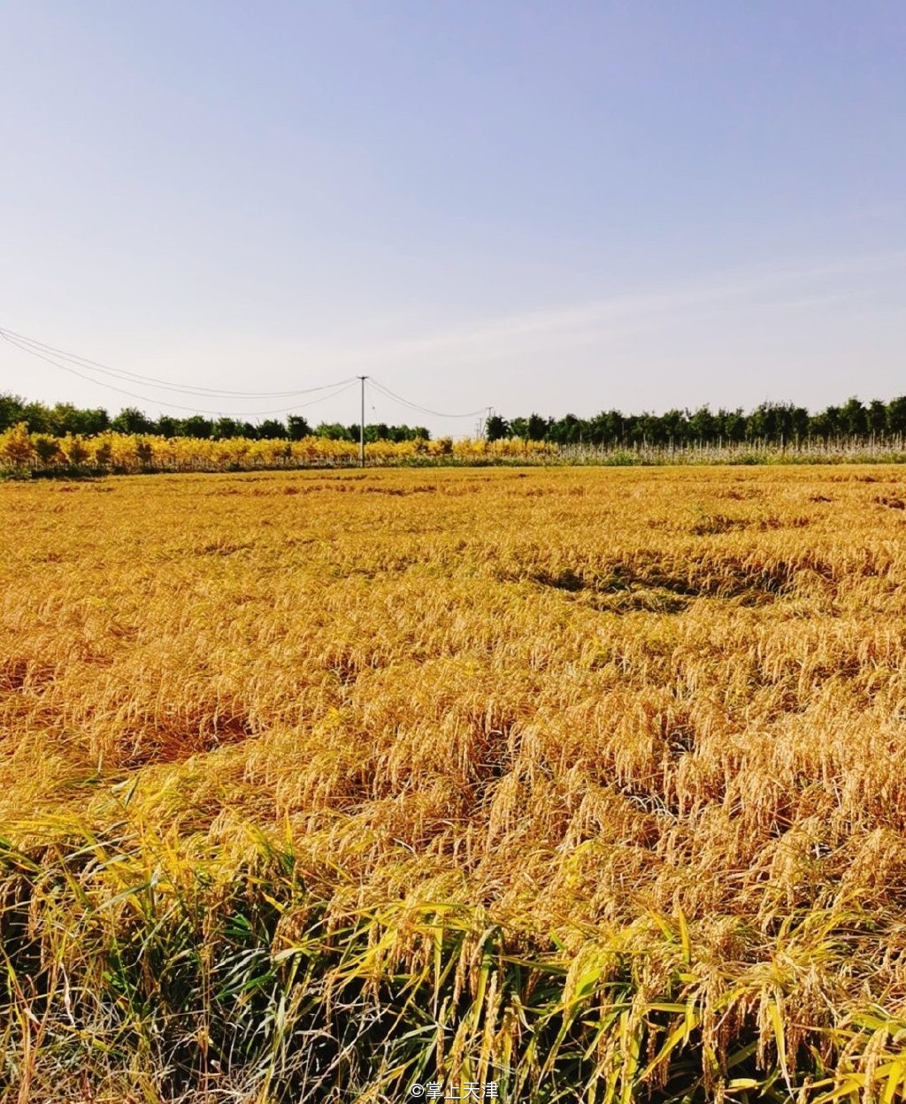 低调的王者完整版,低调的王者奥迪