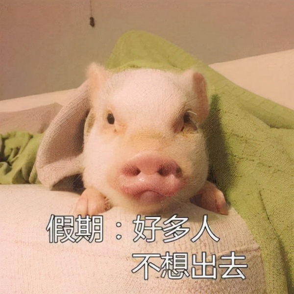 爱奇艺收费视频破解,爱奇艺破解方法