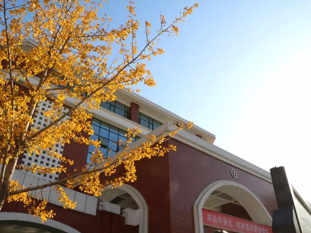 石家庄十五中是几梯队,石家庄15中为啥没初中