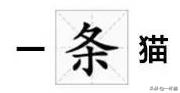 一根猫、一滩猫、一架猫，喵星人逆天姿势大全