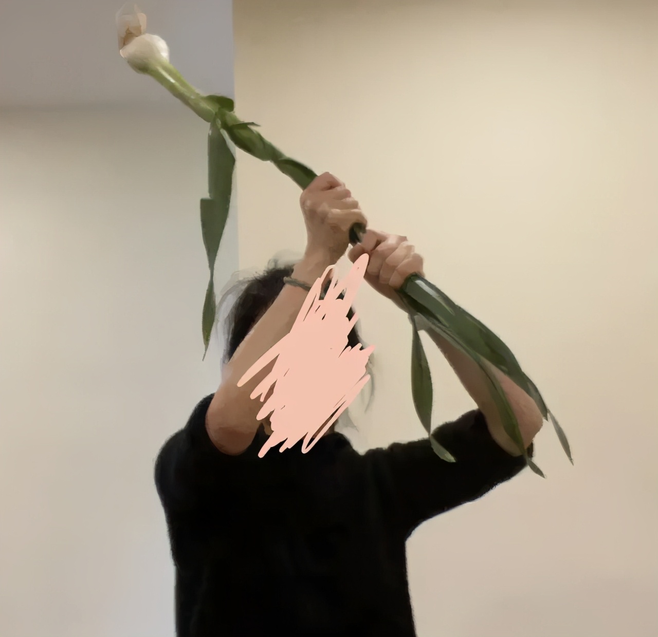 哈哈哈哈哈我笑到我家的狗偷开邻居家的车送我去精神病院