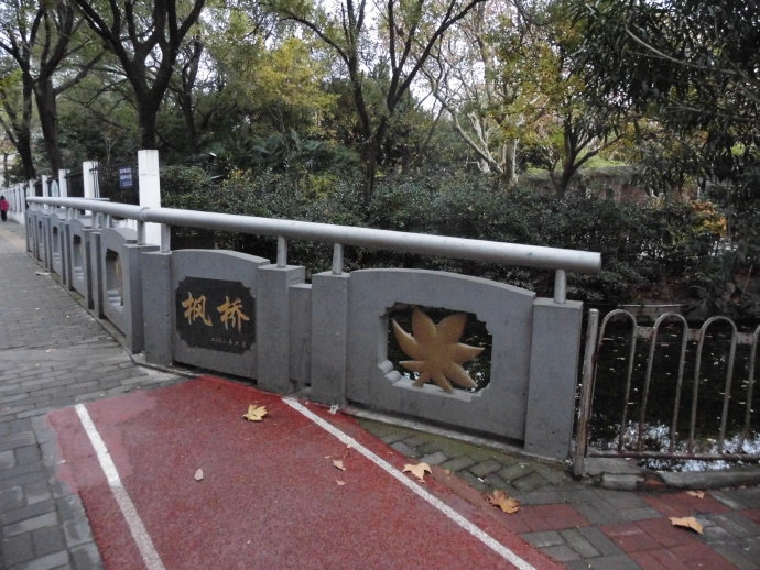 此劳模新村何以植物命名马路，以至美得像江南园林？