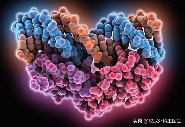 45岁男人还有性激素吗,45岁男性雄激素降落的表现