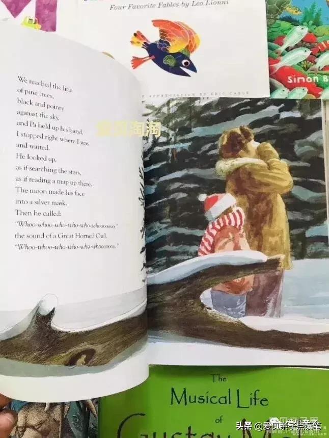 廖彩杏获奖书单,廖彩杏彩色书单