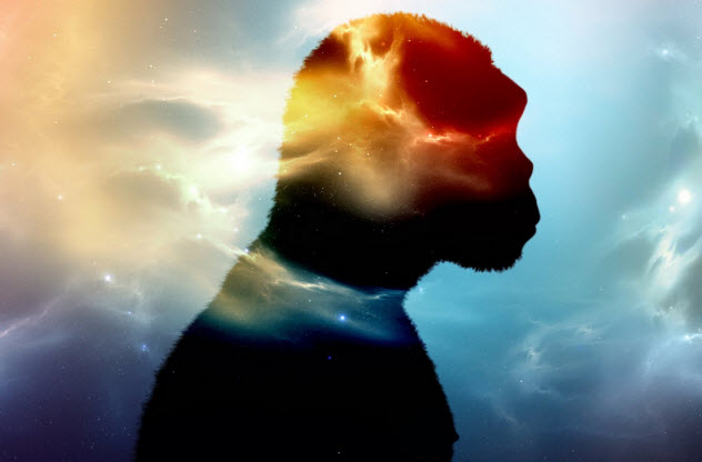 唾液的小用处,唾液的九大功能