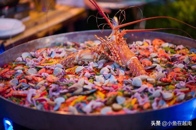 越南旅游美食攻略,越南旅游美食