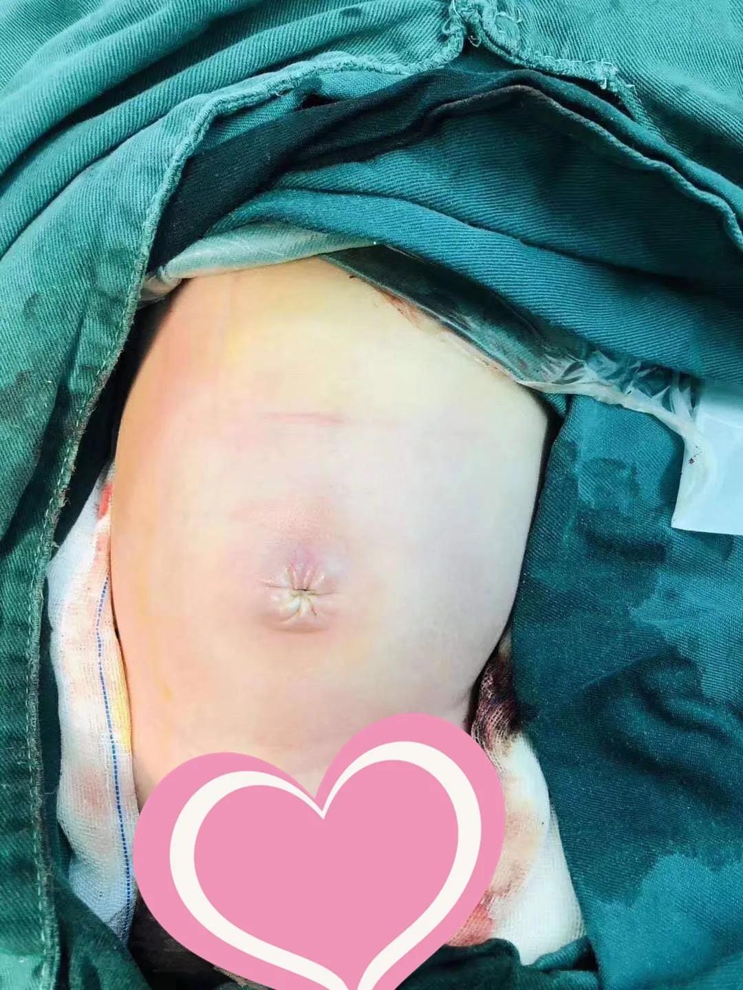 真香小说全文免费阅读,真香小说完整版