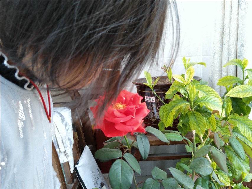 智慧父母给孩子的忠告,智慧父母一定会问孩子的七个问题