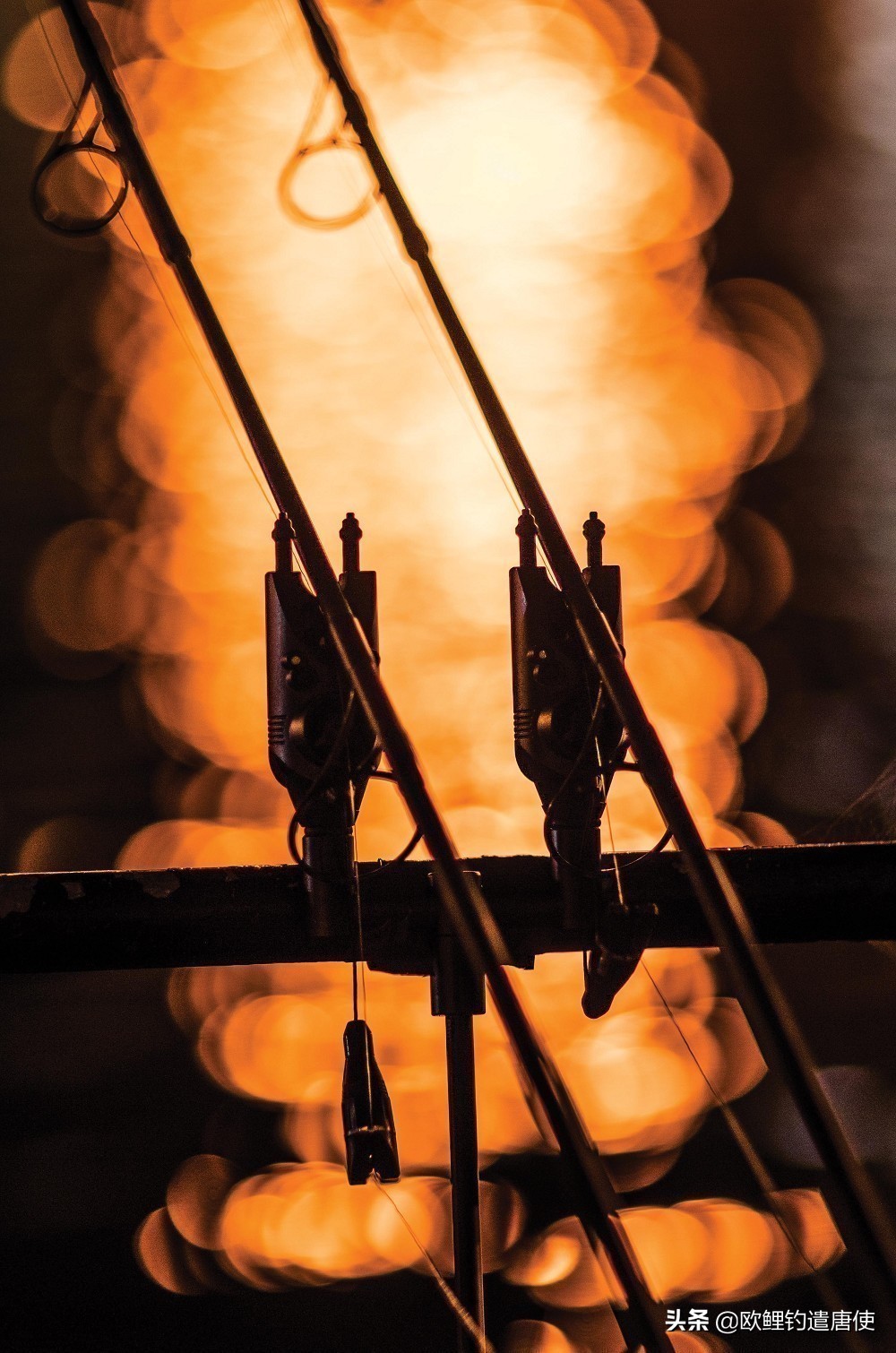 钓鱼拉饵多长时间调漂,钓鱼拉饵调漂的正确方法