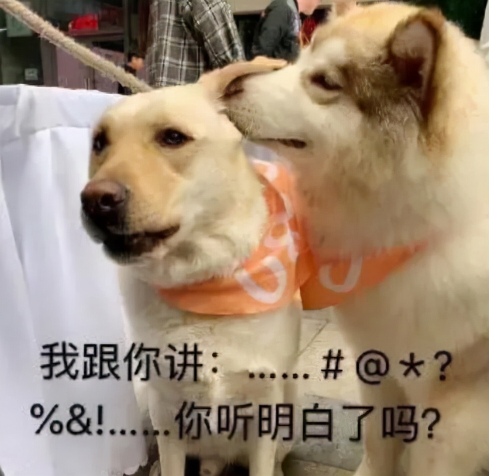 出生率越来越低未来会怎么样,出生率跌破1%20年后会怎样