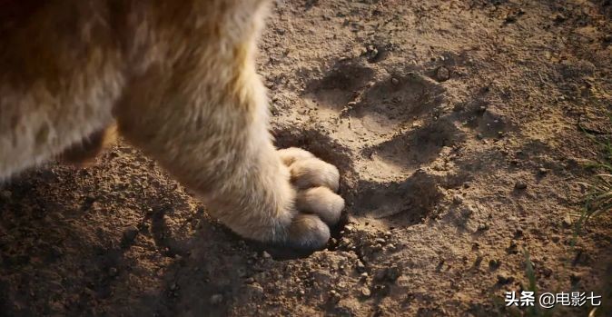 小时候看狮子王长大后的感觉,童年经典狮子王意大利版