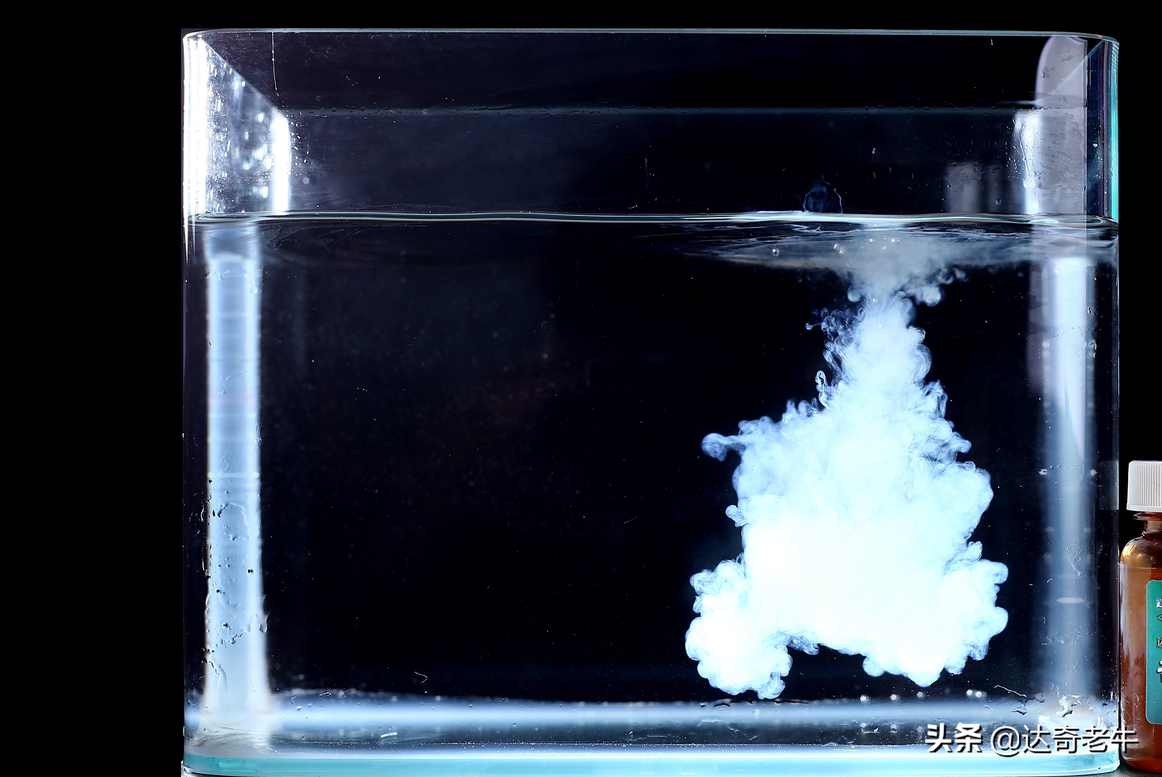 果酸小药钓鱼对鱼有害吗,揭秘钓鱼小药