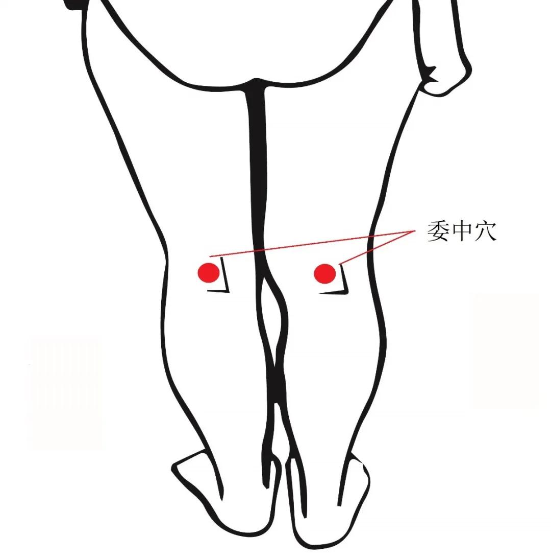 腰痛怎么办中医治疗有妙招,缓解腰痛的最快方法中医