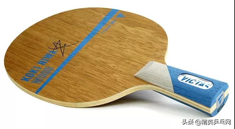 适合中级业余乒乓球友的十款底板,最暴力的乒乓底板排名