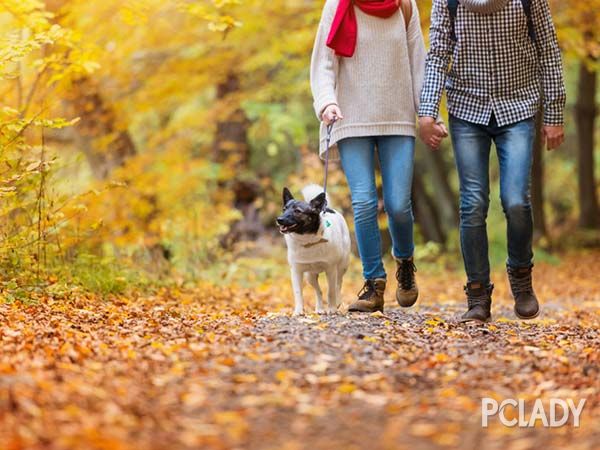 30-40岁女人生日礼物实用礼物排行,送什么生日礼物给男朋友最好