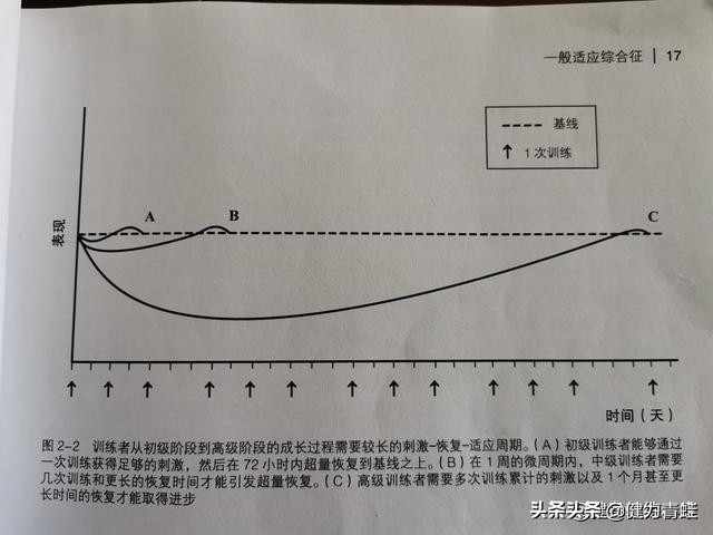 力量训练天天练还是隔天练增肌快,8分钟学会核心知识点