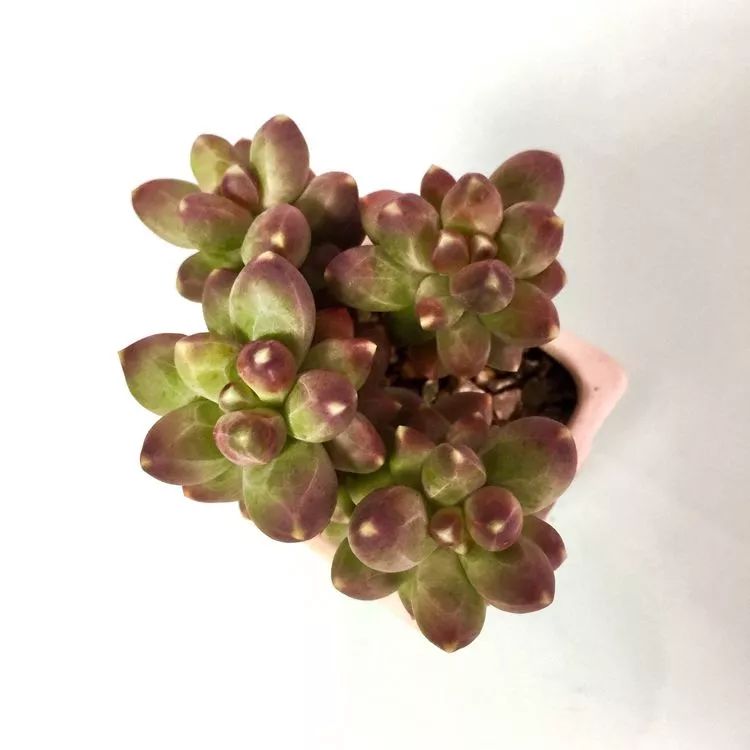 记录走过的美景留下美好的回忆,记录走过的每一段美好时光