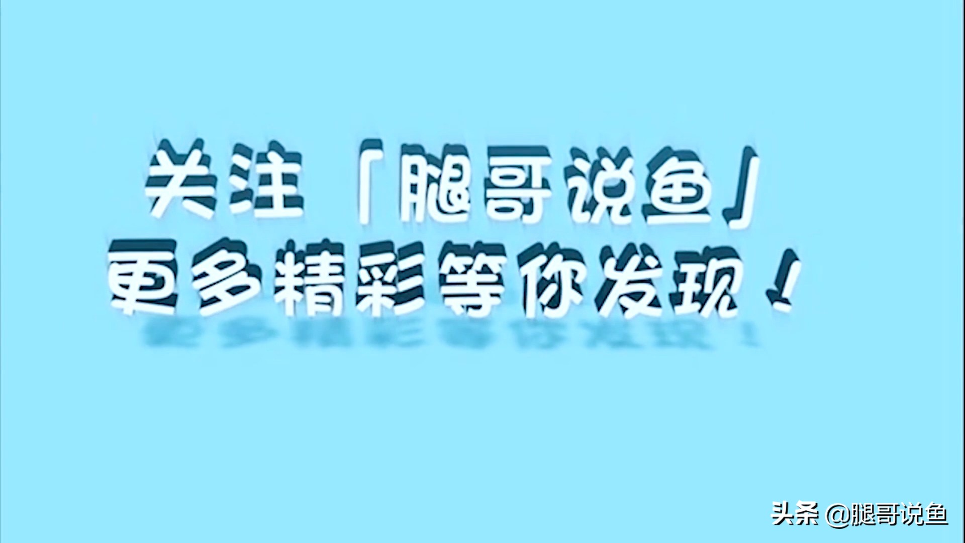 十大养不死的观赏虾品种,蓝宝石虾是不是养单一品种比较好