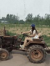 这只鹦鹉一直以为他是一只猴，所以每天都在重复做这个动作