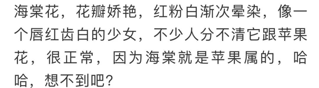 看到花的时候，不知是什么花？那就收下这份百花图谱