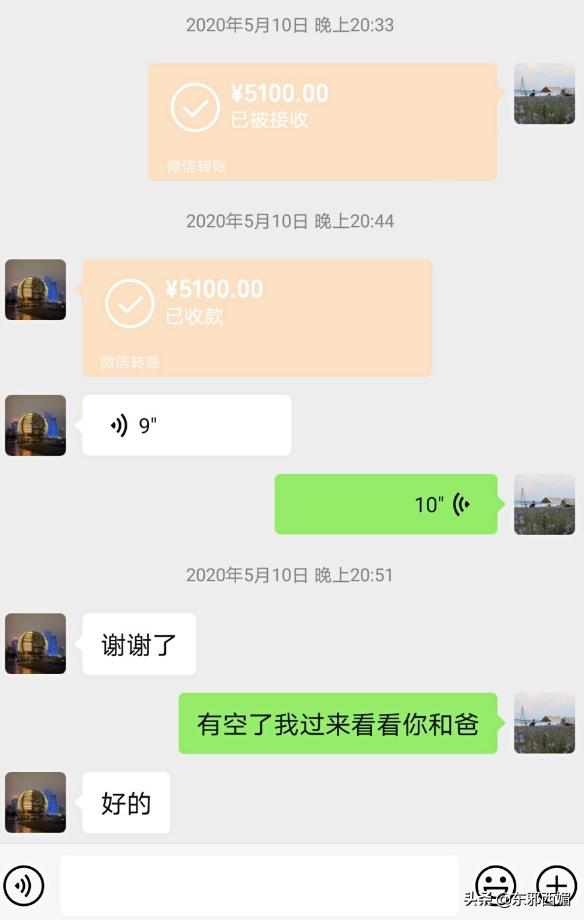 500字作文我真聪明,五篇小作文