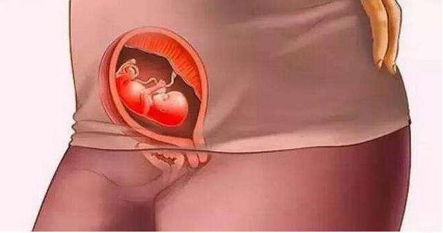 一到十月胎儿变化图,十月怀胎实际是几个月