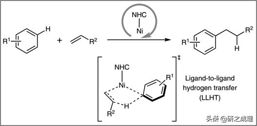 鍌寲蹇姤鏈熷垔,鍌寲鏉傚織灏侀潰