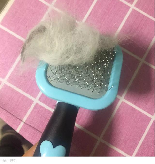 猫咪有毛球吃什么可以排出来,猫咪毛球怎么去除