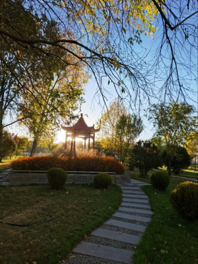 进入了抑郁症怎么办,从抑郁症里走出来的人会怎么样