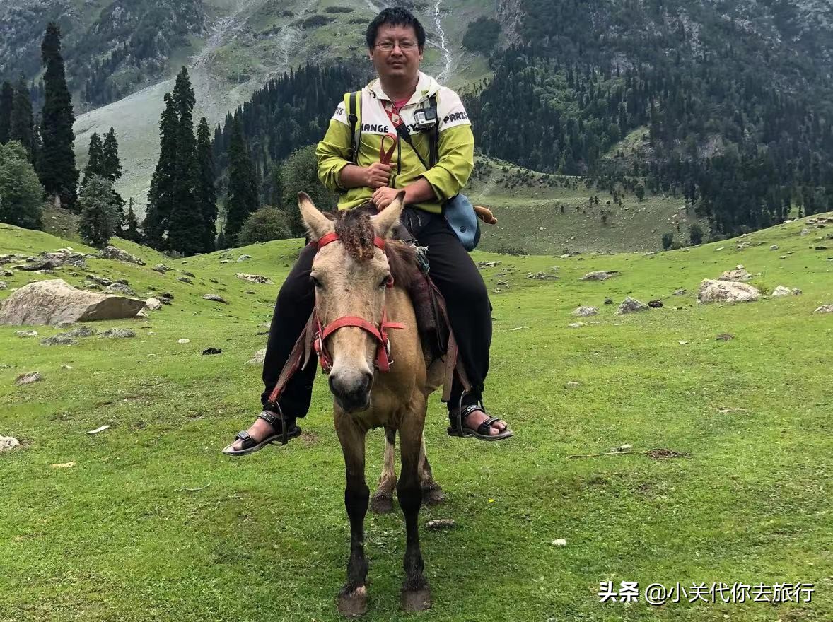 印度医院看病视频,在印度看病免费吗